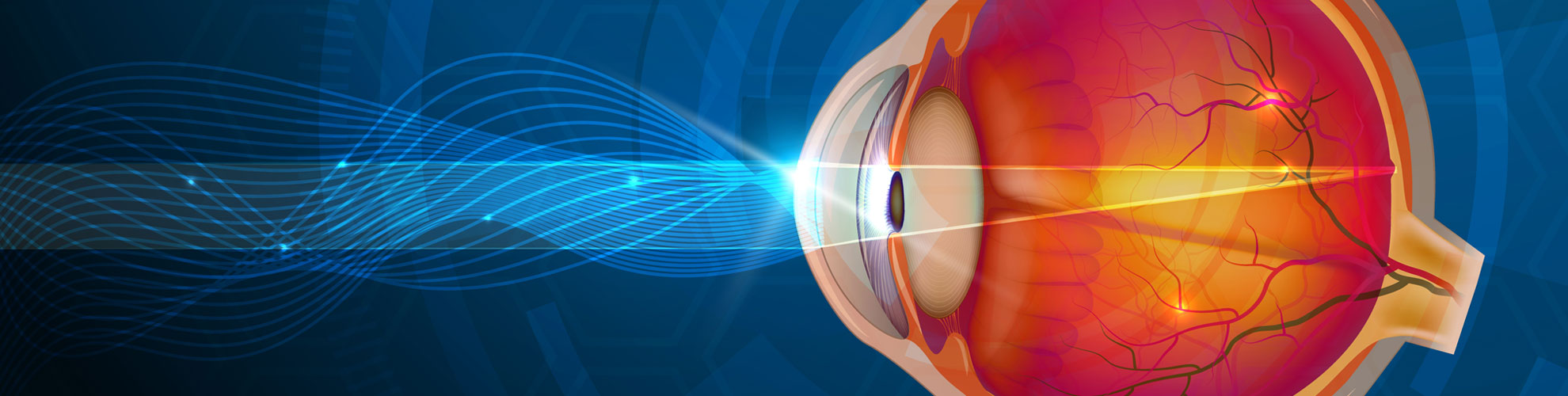 Interactive Eye Family Vision Center